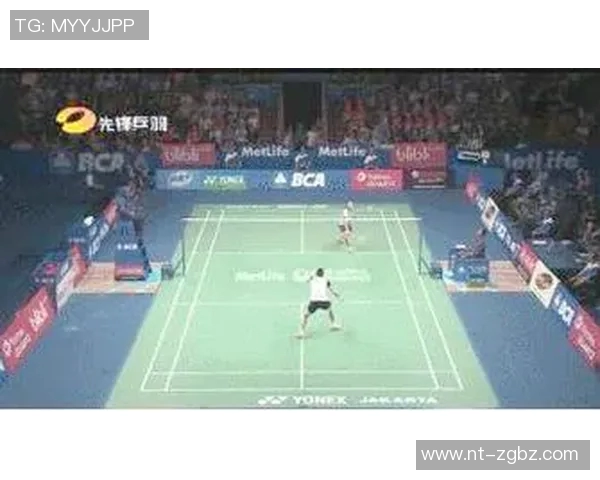 南京羽毛球队控制打法深度分析与战术探讨