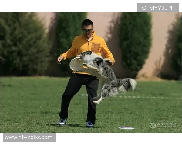 上海飞盘队在极限运动世界杯中的战术分析与表现评析