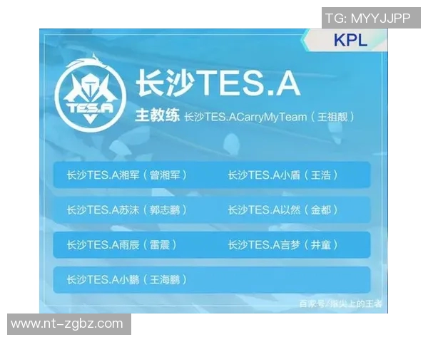 深入分析TES战队的控制打法及其在比赛中的应用策略