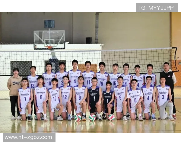 排球意识排行榜揭晓西安排球队荣登榜首引发热议