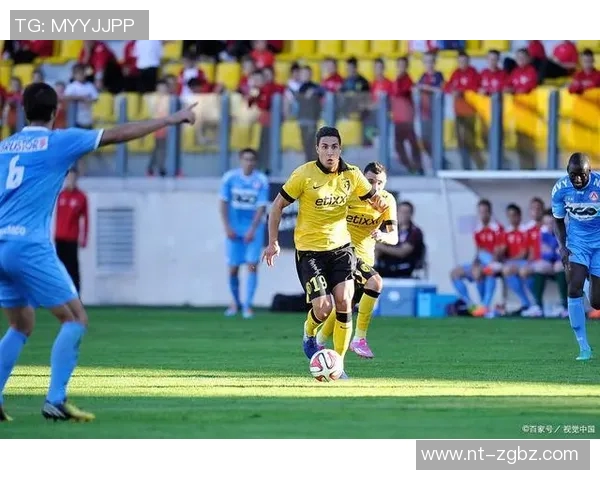 科特赖克与欧本对决分析及推荐策略详解