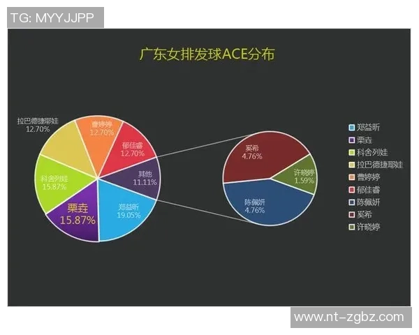 南京排球队技术对比深度解析与发展趋势探讨